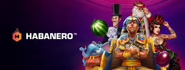 하바네로 대표 이미지